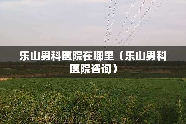 乐山男科医院在哪里（乐山男科医院咨询）