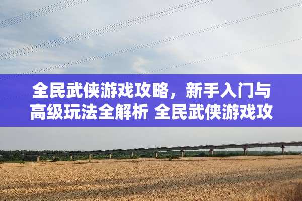 全民武侠游戏攻略,新手入门与高级玩法全解析 全民武侠游戏攻略 全民武侠游戏攻略,新手入门与高级玩法全解析 全民武侠游戏攻略