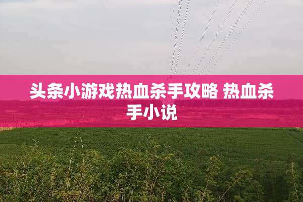 头条小游戏热血**攻略 热血**小说