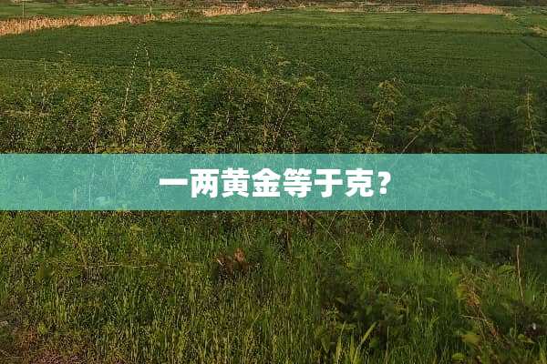 一两黄金等于克？