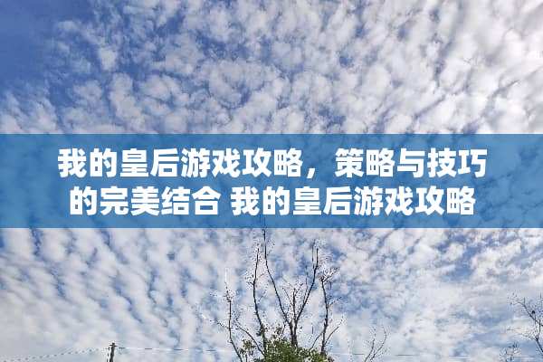 我的皇后游戏攻略，策略与技巧的完美结合 我的皇后游戏攻略