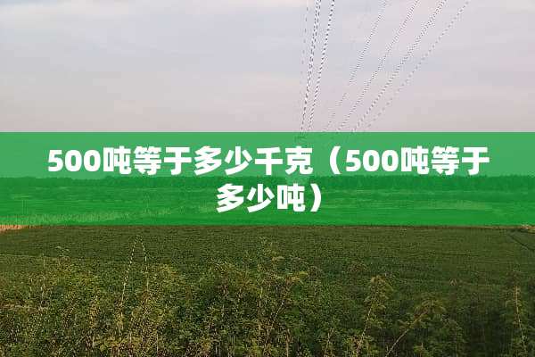 500吨等于多少千克(500吨等于多少吨) 500吨等于多少千克(500吨等于多少吨)