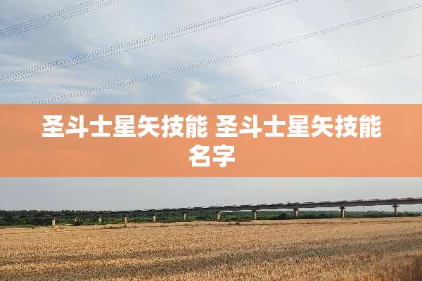 圣斗士星矢技能 圣斗士星矢技能名字 圣斗士星矢技能 圣斗士星矢技能名字