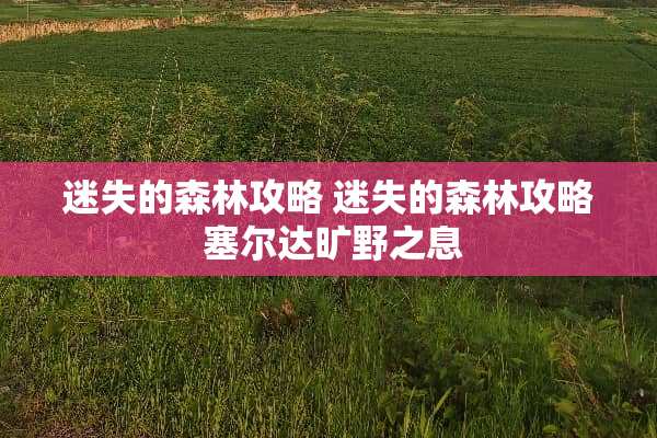 迷失的森林攻略 迷失的森林攻略 塞尔达旷野之息