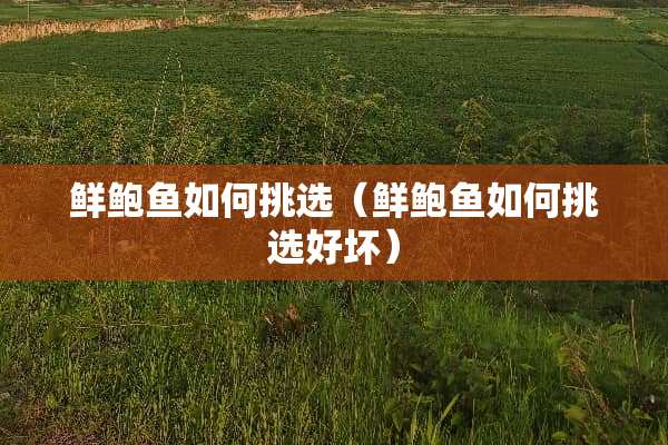 鲜**如何挑选（鲜**如何挑选好坏）