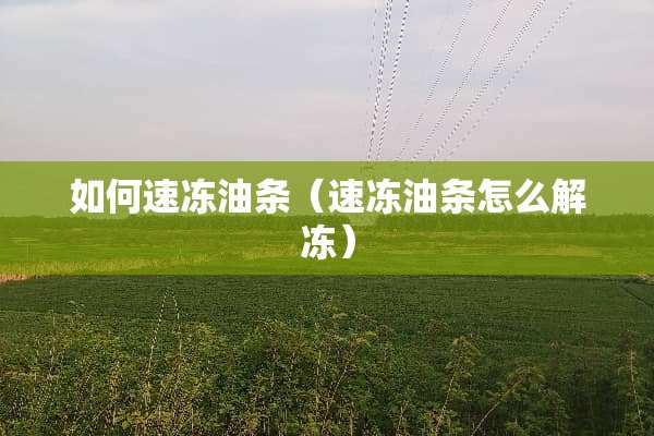 如何速冻油条（速冻油条怎么解冻）