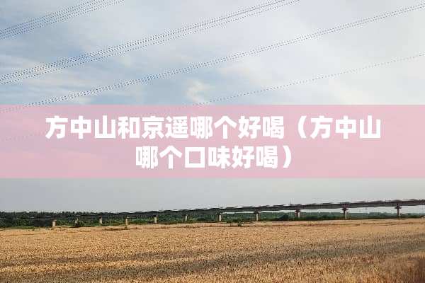 方中山和京遥哪个好喝（方中山哪个口味好喝）