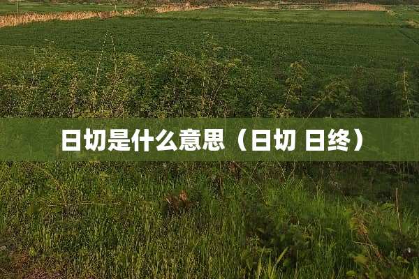 日切是什么意思（日切 日终）