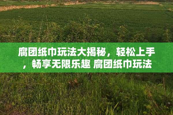 腐团纸巾玩法大揭秘，轻松上手，畅享无限乐趣 腐团纸巾玩法