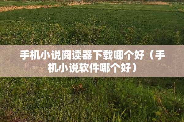 手机小说阅读器下载哪个好(手机小说软件哪个好) 手机小说阅读器下载哪个好(手机小说软件哪个好)
