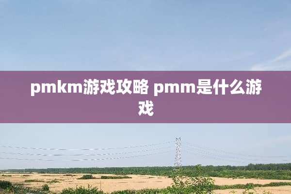 pmkm游戏攻略 pmm是什么游戏