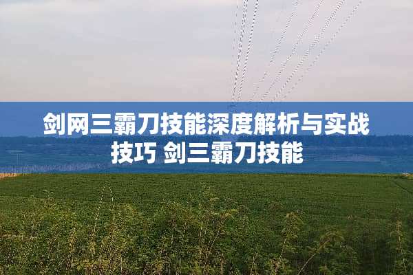 剑网三霸刀技能深度解析与实战技巧 剑三霸刀技能 剑网三霸刀技能深度解析与实战技巧 剑三霸刀技能