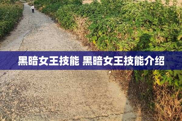 黑暗女王技能 黑暗女王技能介绍