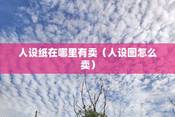 人设纸在哪里有卖（人设图怎么卖）