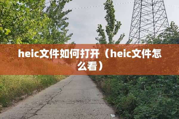 heic文件如何打开（heic文件怎么看）