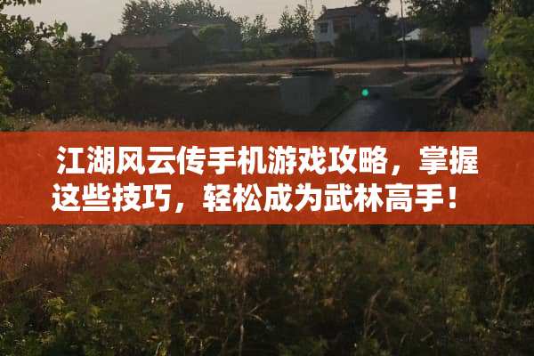 江湖风云传手机游戏攻略，掌握这些技巧，轻松成为武林高手！ 江湖风云传手机游戏攻略