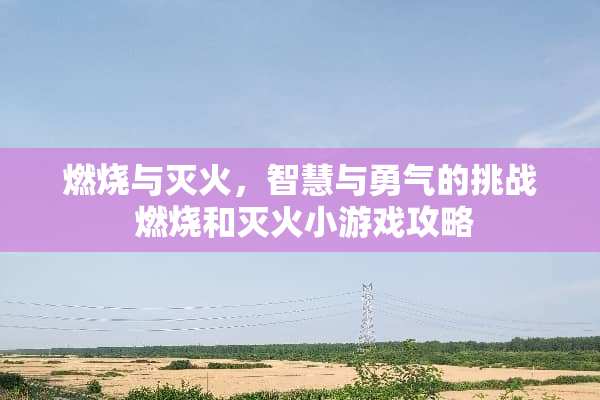 燃烧与灭火，智慧与勇气的挑战 燃烧和灭火小游戏攻略