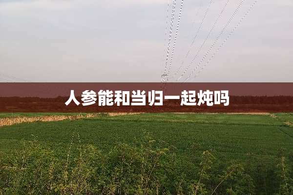 人参能和当归一起炖吗