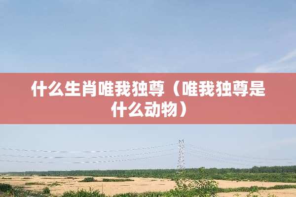 什么生肖唯我独尊（唯我独尊是什么动物）