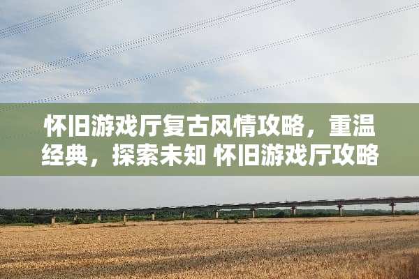 **游戏厅复古风情攻略，重温经典，探索未知**游戏厅攻略