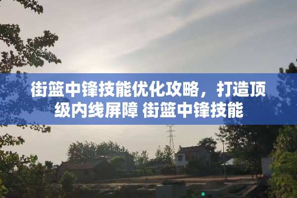街篮中锋技能优化攻略，打造**内线屏障 街篮中锋技能