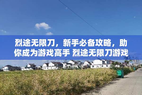 烈途无限刀，新手必备攻略，助你成为游戏高手 烈途无限刀游戏攻略