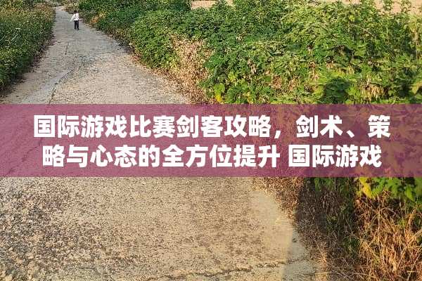 国际游戏比赛剑客攻略，剑术、策略与心态的全方位提升 国际游戏比赛剑客攻略
