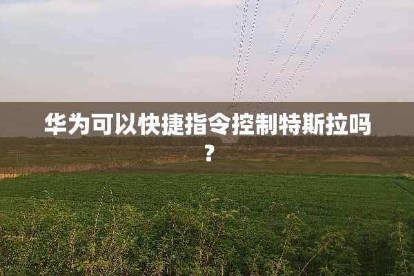华为可以快捷指令控制特斯拉吗？