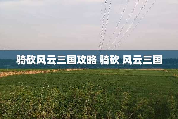 骑砍风云三国攻略 骑砍 风云三国 骑砍风云三国攻略 骑砍 风云三国