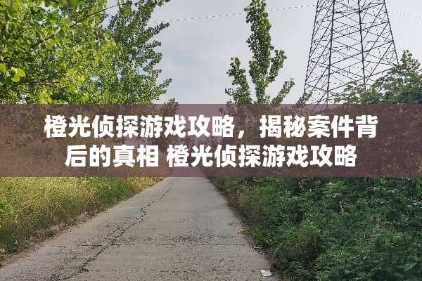 橙光侦探游戏攻略，揭秘案件背后的** 橙光侦探游戏攻略