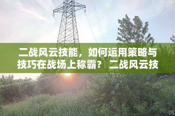 二战风云技能，如何运用策略与技巧在战场上称霸？ 二战风云技能