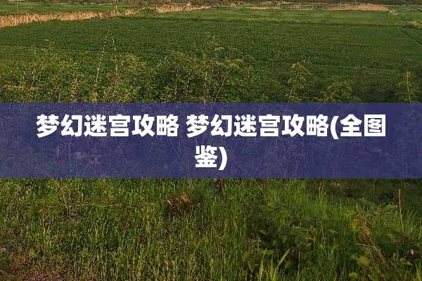 梦幻迷宫攻略 梦幻迷宫攻略(全图鉴)