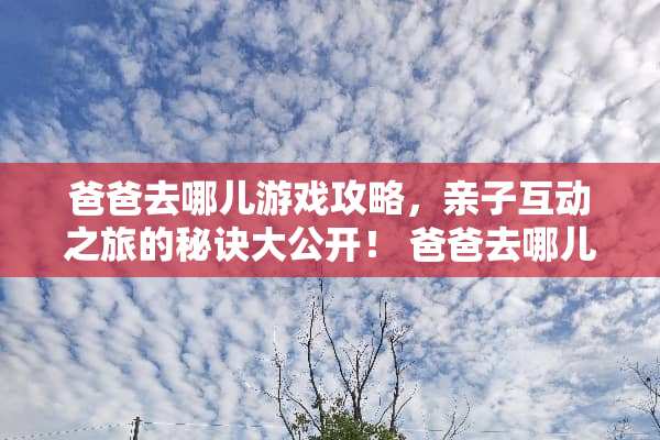 爸爸去哪儿游戏攻略，亲子互动之旅的秘诀大公开！ 爸爸去哪儿游戏攻略