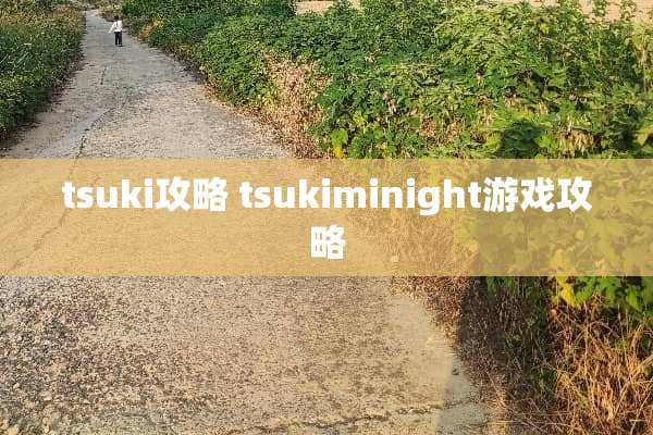 tsuki攻略 tsukiminight游戏攻略