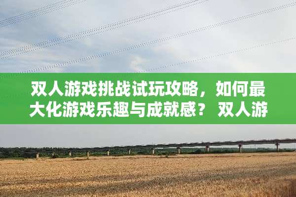 双人游戏挑战试玩攻略，如何最大化游戏乐趣与成就感？ 双人游戏挑战试玩攻略
