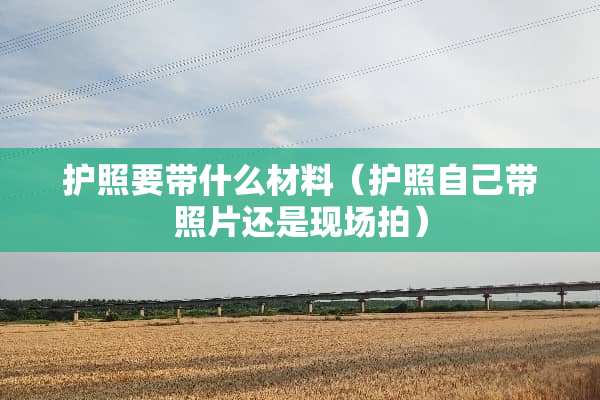 护照要带什么材料（护照自己带照片还是现场拍）