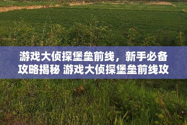 游戏大侦探堡垒前线,新手必备攻略揭秘 游戏大侦探堡垒前线攻略 游戏大侦探堡垒前线,新手必备攻略揭秘 游戏大侦探堡垒前线攻略