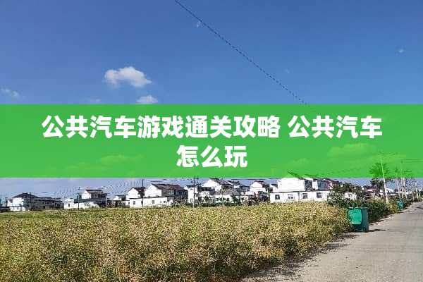 公共汽车游戏通关攻略 公共汽车怎么玩