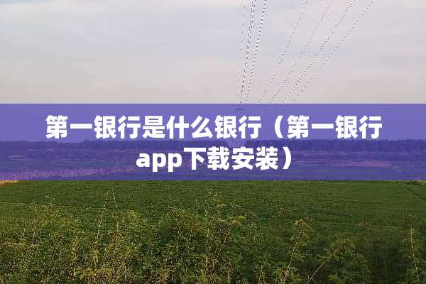 第一银行是什么银行（第一银行app下载安装）