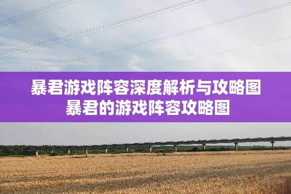 暴君游戏阵容深度解析与攻略图 暴君的游戏阵容攻略图