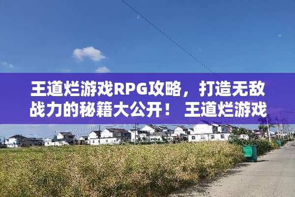 王道烂游戏RPG攻略，打造无敌战力的秘籍大公开！ 王道烂游戏RPG攻略