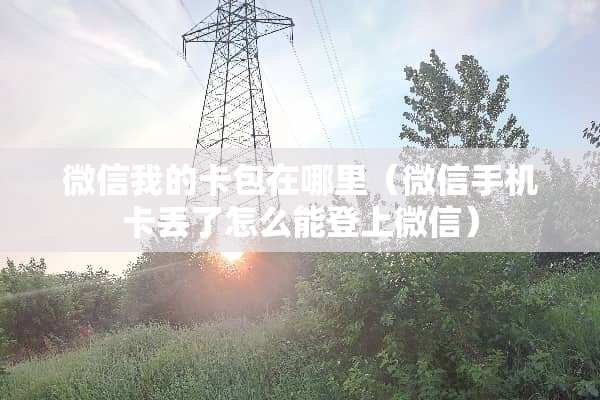 微信我的卡包在哪里（微信手机卡丢了怎么能登上微信）