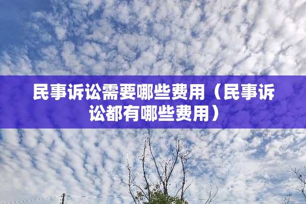 民事诉讼需要哪些费用（民事诉讼都有哪些费用）