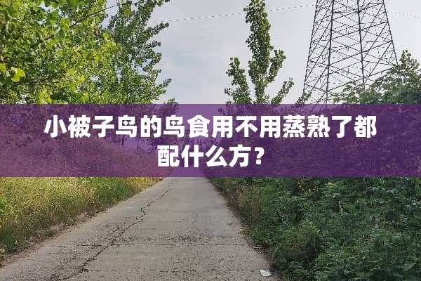 小被子鸟的鸟食用不用蒸熟了都配什么方？