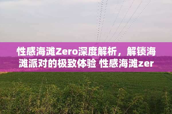性感海滩Zero深度解析，解锁海滩派对的极致体验 性感海滩zero玩法