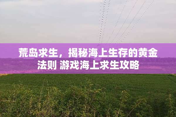 荒岛求生，揭秘海上生存的黄金法则 游戏海上求生攻略