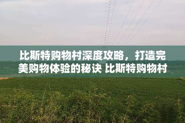 比斯特购物村深度攻略，打造完美购物体验的秘诀 比斯特购物村攻略