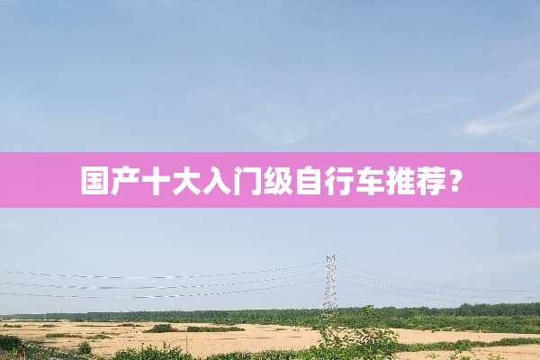 国产十大入门级自行车推荐？
