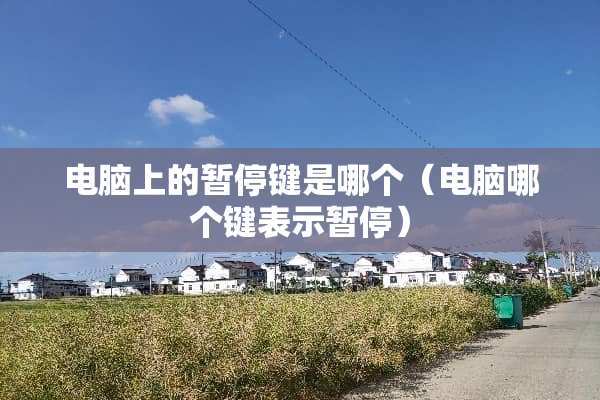 电脑上的暂停键是哪个（电脑哪个键表示暂停）