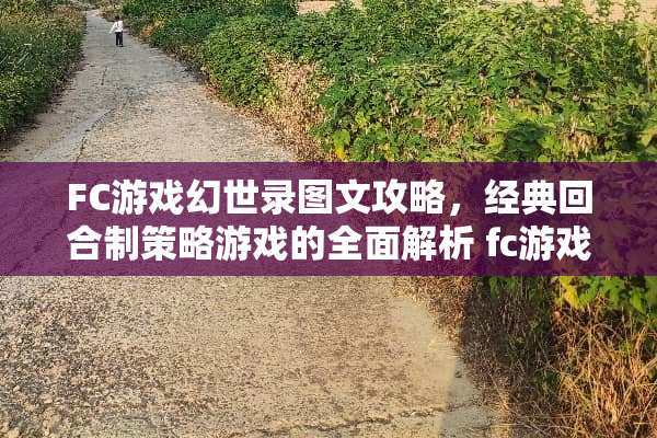 FC游戏幻世录图文攻略，经典回合制策略游戏的全面解析 fc游戏幻世录图文攻略